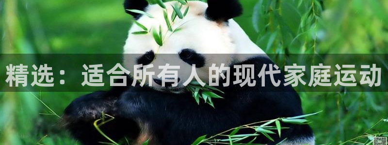 fb体育五金厂:精选:适合所有人的现代家庭运动